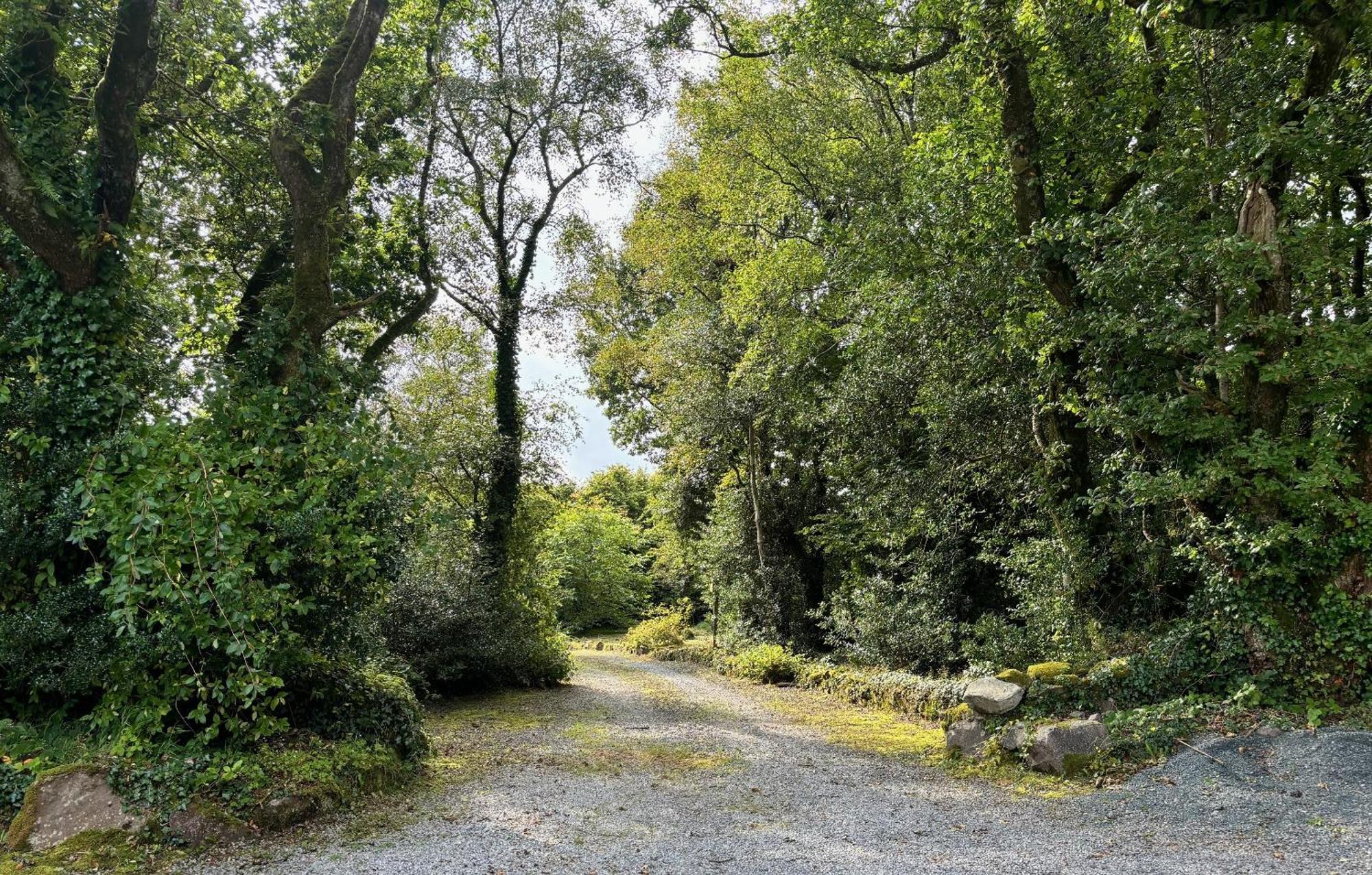 Villa Sligo Forest Retreat Exterior foto